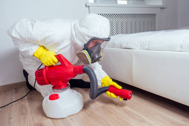 Trusted Forsgate, NJ Pest Control Experts