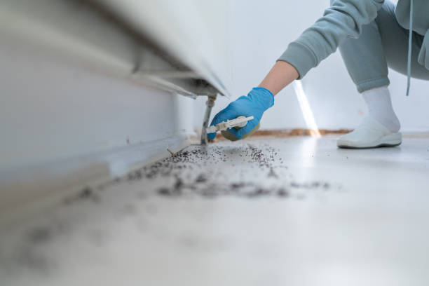 Best Bed Bug Extermination  in Forsgate, NJ